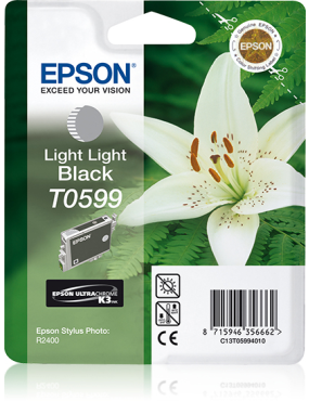 Epson Stylus Photo R-2400...