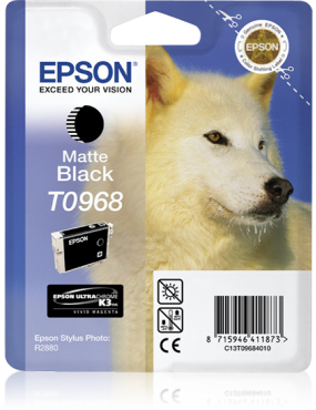 Epson Stylus Photo R2880...