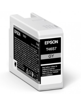 EPSON Singlepack Gray T46S7...