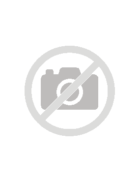 EPSON SOFT CARRY CASE -...