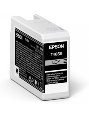 EPSON Singlepack Light Gray...