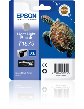 Epson Stylus Photo R3000...