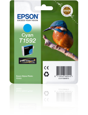 Epson Stylus Photo R2000...